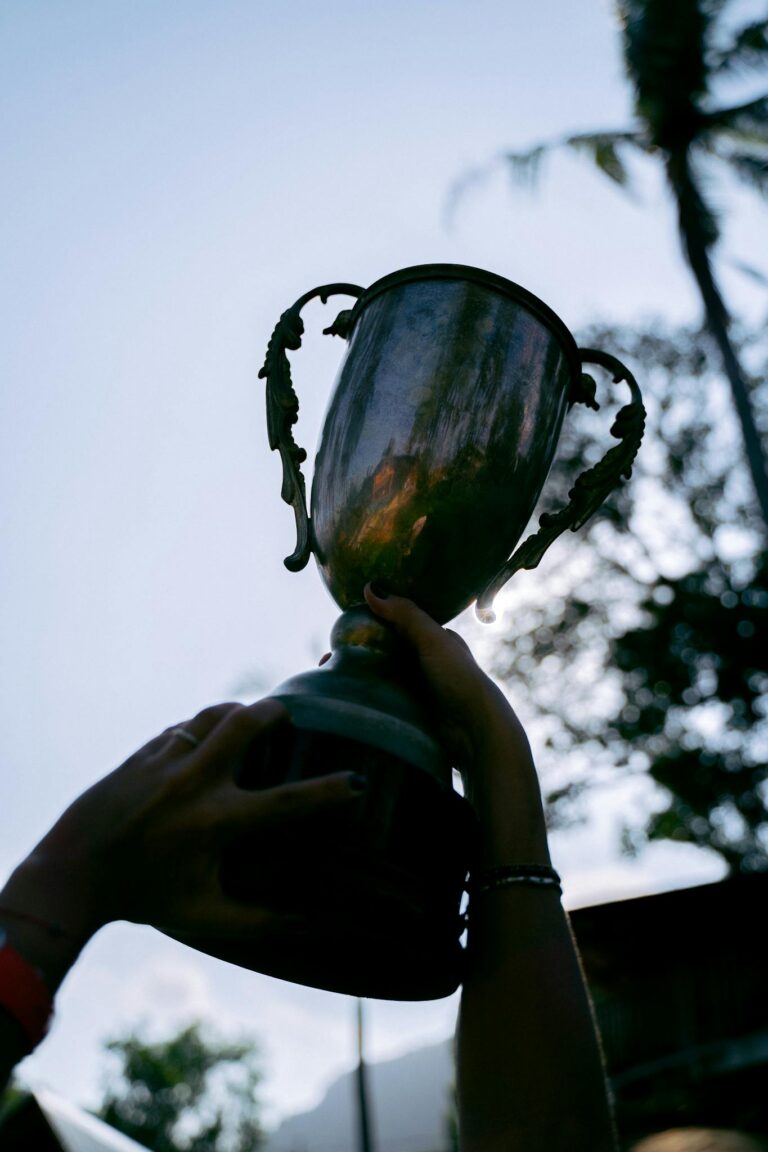 A Person Holding a Trophy